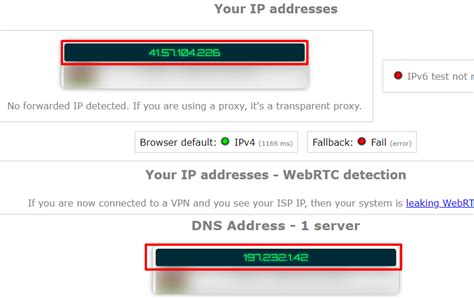 ipleak|IP/DNS Detect